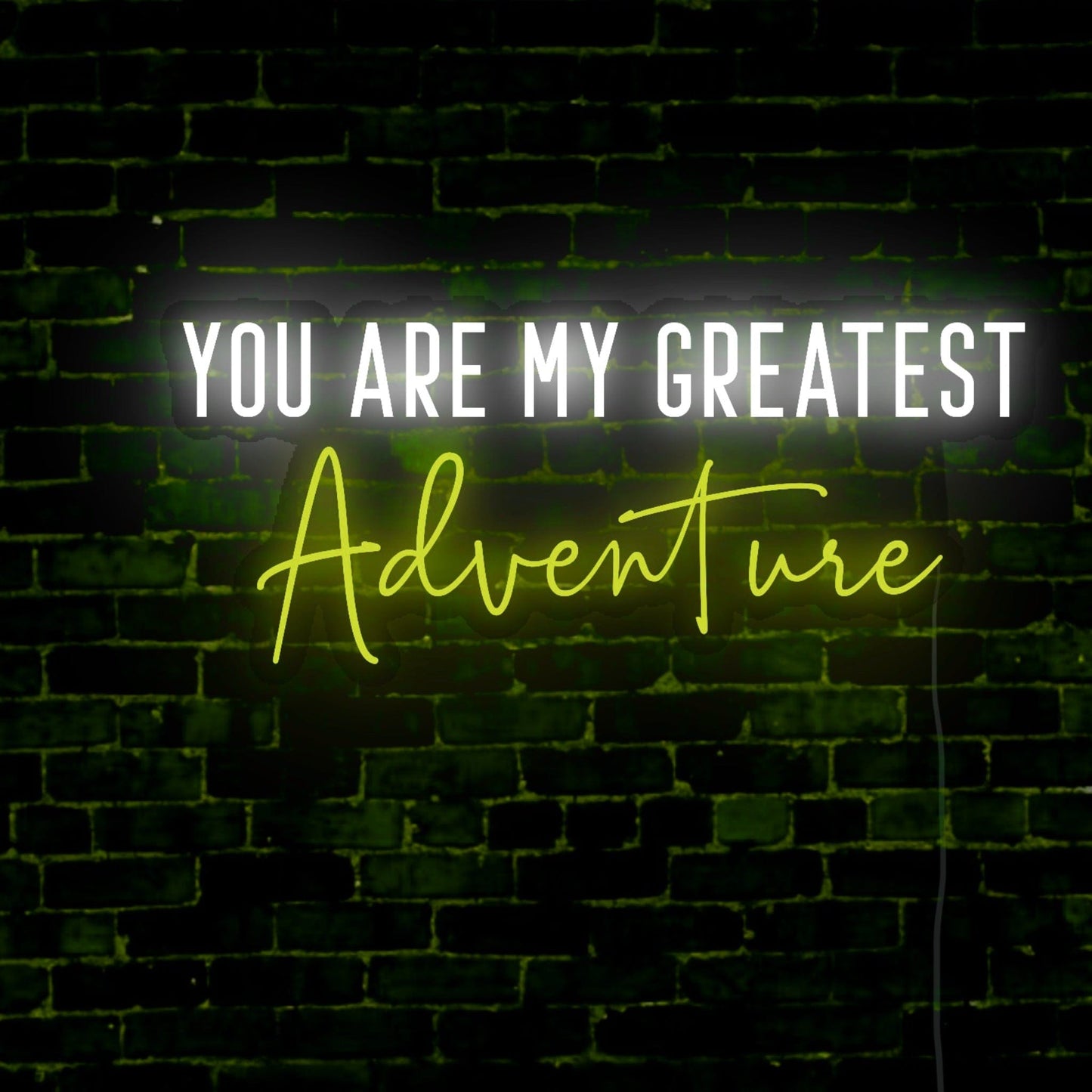 You Are My Greatest Adventure LED Neon Sign