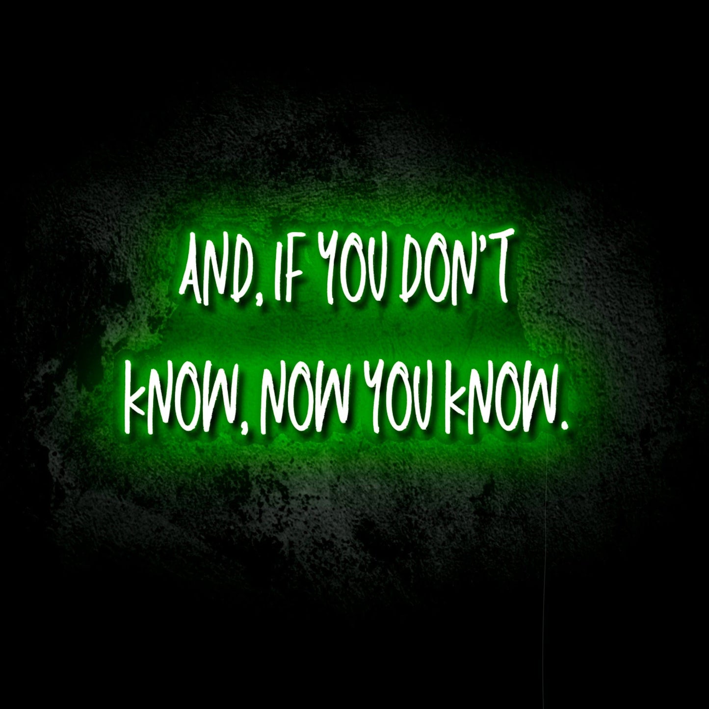 If You Don’t Know, Now You Know LED Neon Sign