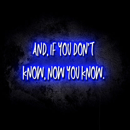 If You Don’t Know, Now You Know LED Neon Sign