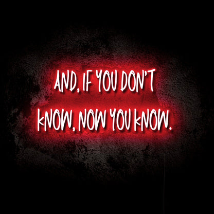 If You Don’t Know, Now You Know LED Neon Sign