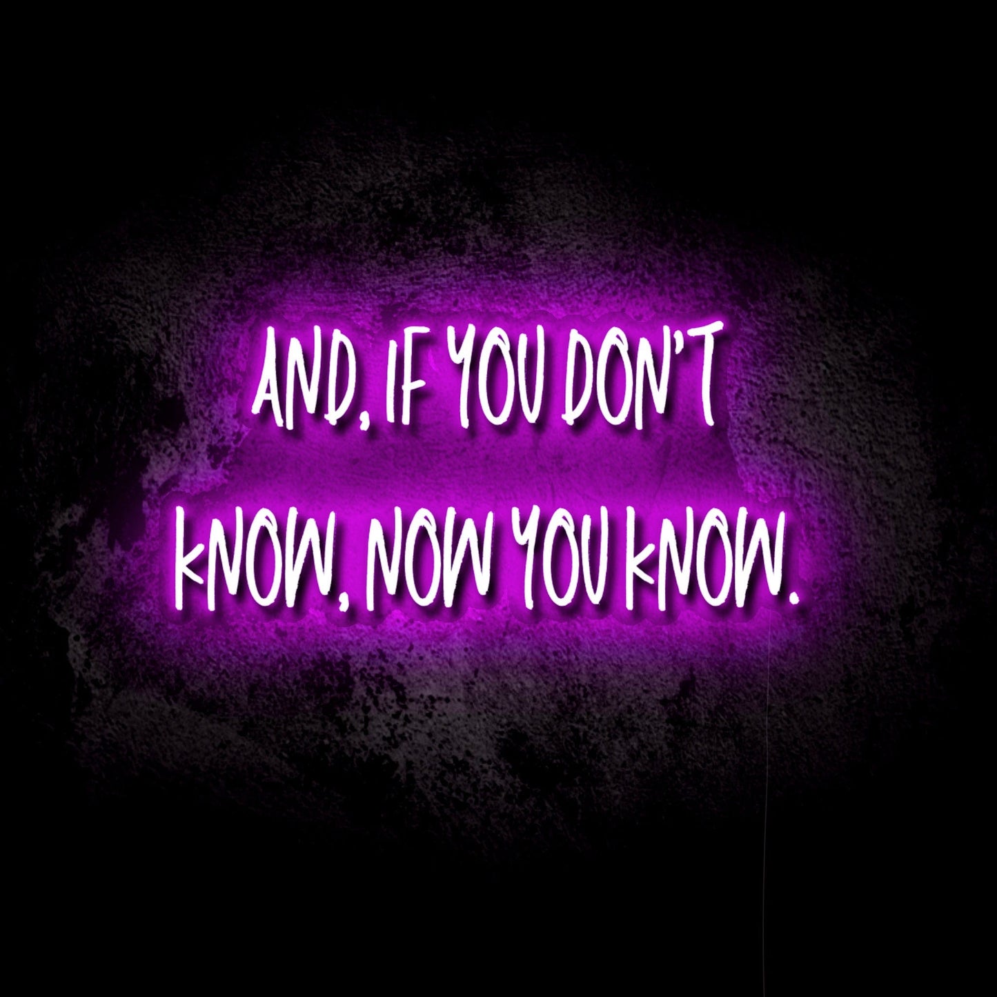 If You Don’t Know, Now You Know LED Neon Sign