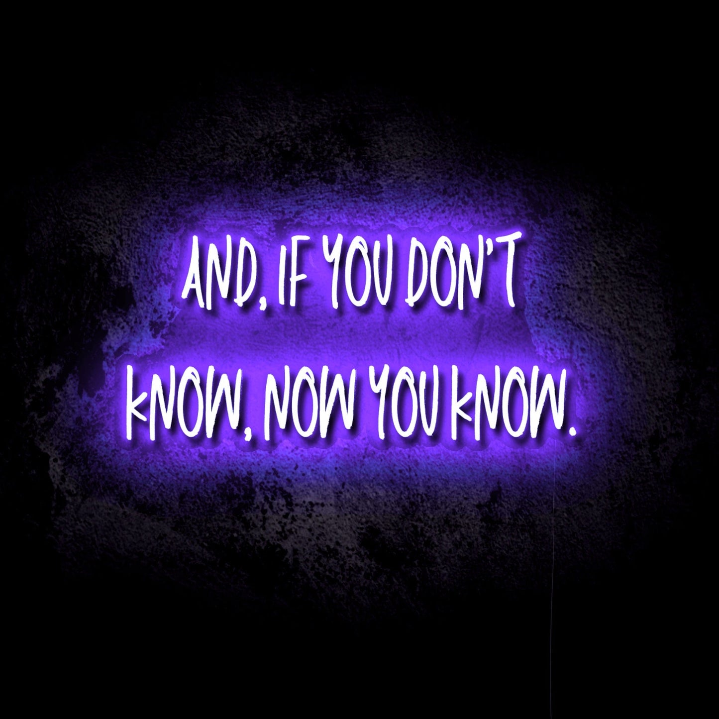 If You Don’t Know, Now You Know LED Neon Sign