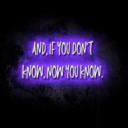 If You Don’t Know, Now You Know LED Neon Sign