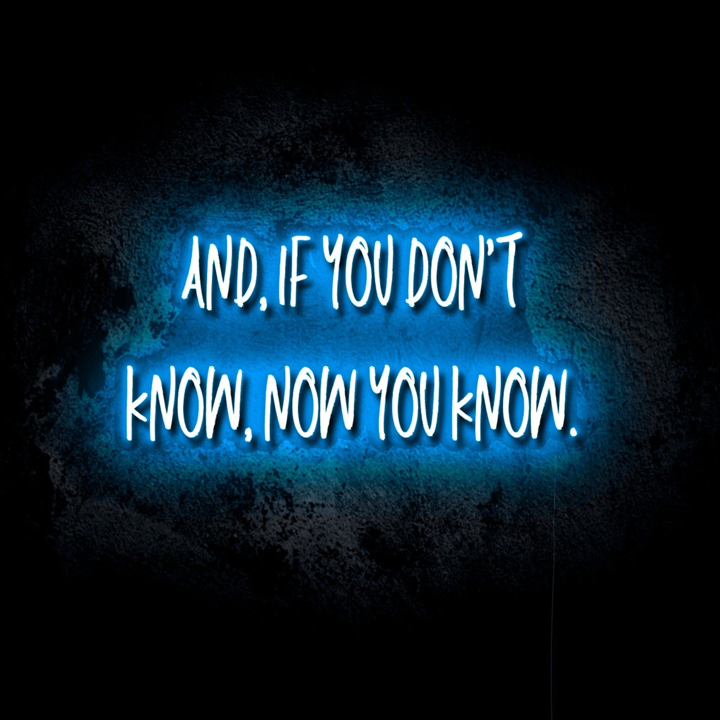 If You Don’t Know, Now You Know LED Neon Sign